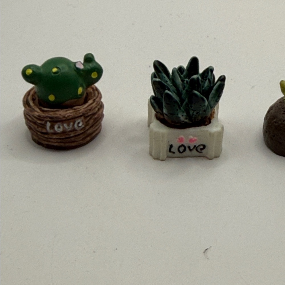 Miniature Succulent Planter Set - Green Accents - Picture 2 of 3